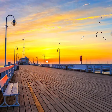 Royal Cruise - Sopocka